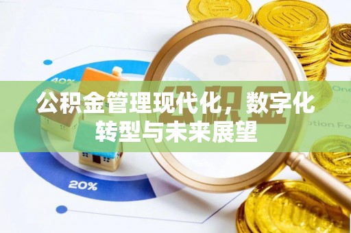 兰屿公积金管理现代化，数字化转型与未来展望