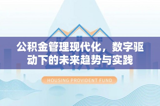 兰屿公积金管理现代化，数字驱动下的未来趋势与实践