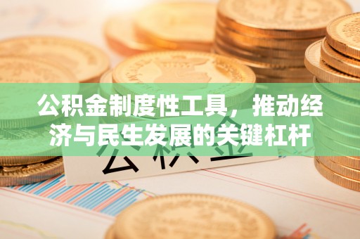 兰屿公积金制度性工具，推动经济与民生发展的关键杠杆