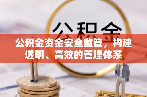 兰屿公积金资金安全监管，构建透明、高效的管理体系