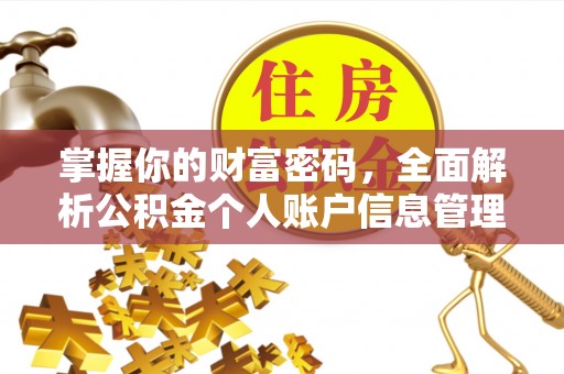 兰屿掌握你的财富密码，全面解析公积金个人账户信息管理与优化