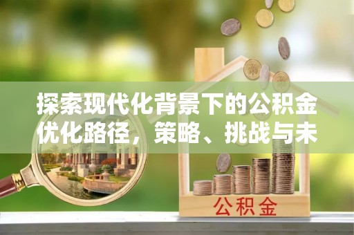 兰屿探索现代化背景下的公积金优化路径，策略、挑战与未来展望