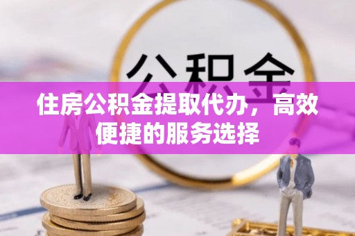 兰屿住房公积金提取代办，高效便捷的服务选择