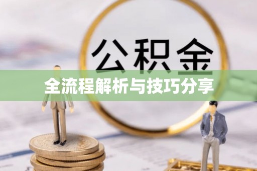 兰屿全流程解析与技巧分享